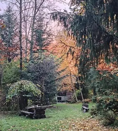 Raj 木屋 *