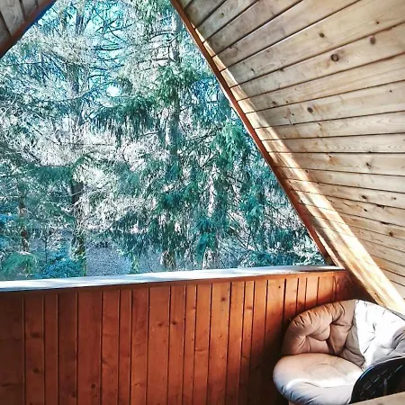 Alpesi faház Raj Zakopane